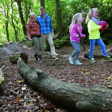 Natuurpark De Witte Bergen Hotel Rouveen Buitenkant foto